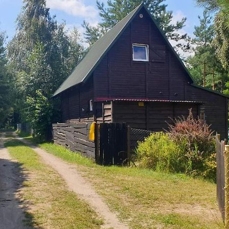 Domki Nad Jeziorem, Las, Do 10 Osob Jezioro Wilczynskie Budzislawskie - Domek Letniskowy Osobno Ogrodzony, Ogrzewany Mile Widziane Pieski, Zwierzeta- Wielkopolska, 62-550 Zygmuntowo Gm Wilczyn ภายนอก รูปภาพ