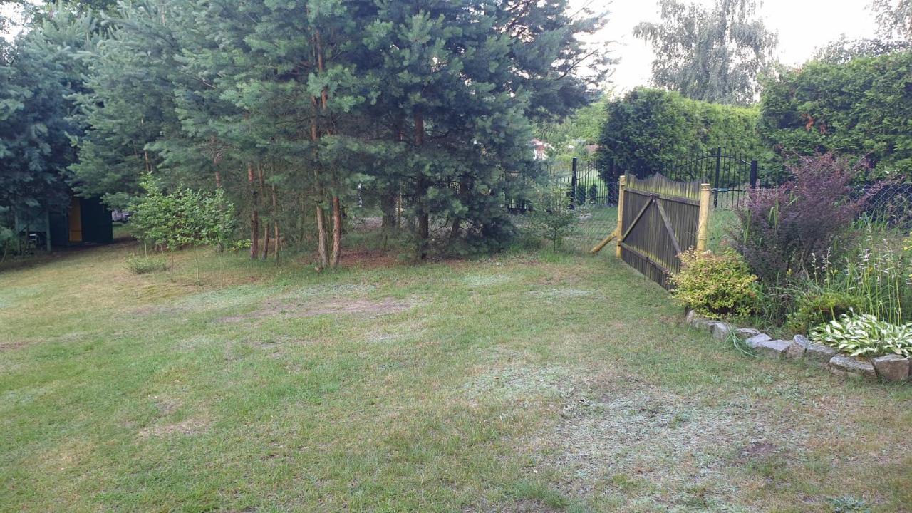 Domki Nad Jeziorem, Las, Do 10 Osob Jezioro Wilczynskie Budzislawskie - Domek Letniskowy Osobno Ogrodzony, Ogrzewany Mile Widziane Pieski, Zwierzeta- Wielkopolska, 62-550 Zygmuntowo Gm Wilczyn ภายนอก รูปภาพ