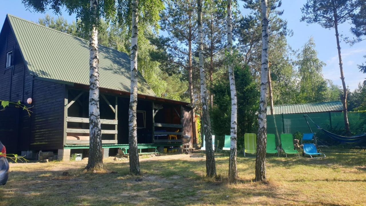 Domki Nad Jeziorem, Las, Do 10 Osob Jezioro Wilczynskie Budzislawskie - Domek Letniskowy Osobno Ogrodzony, Ogrzewany Mile Widziane Pieski, Zwierzeta- Wielkopolska, 62-550 Zygmuntowo Gm Wilczyn ภายนอก รูปภาพ