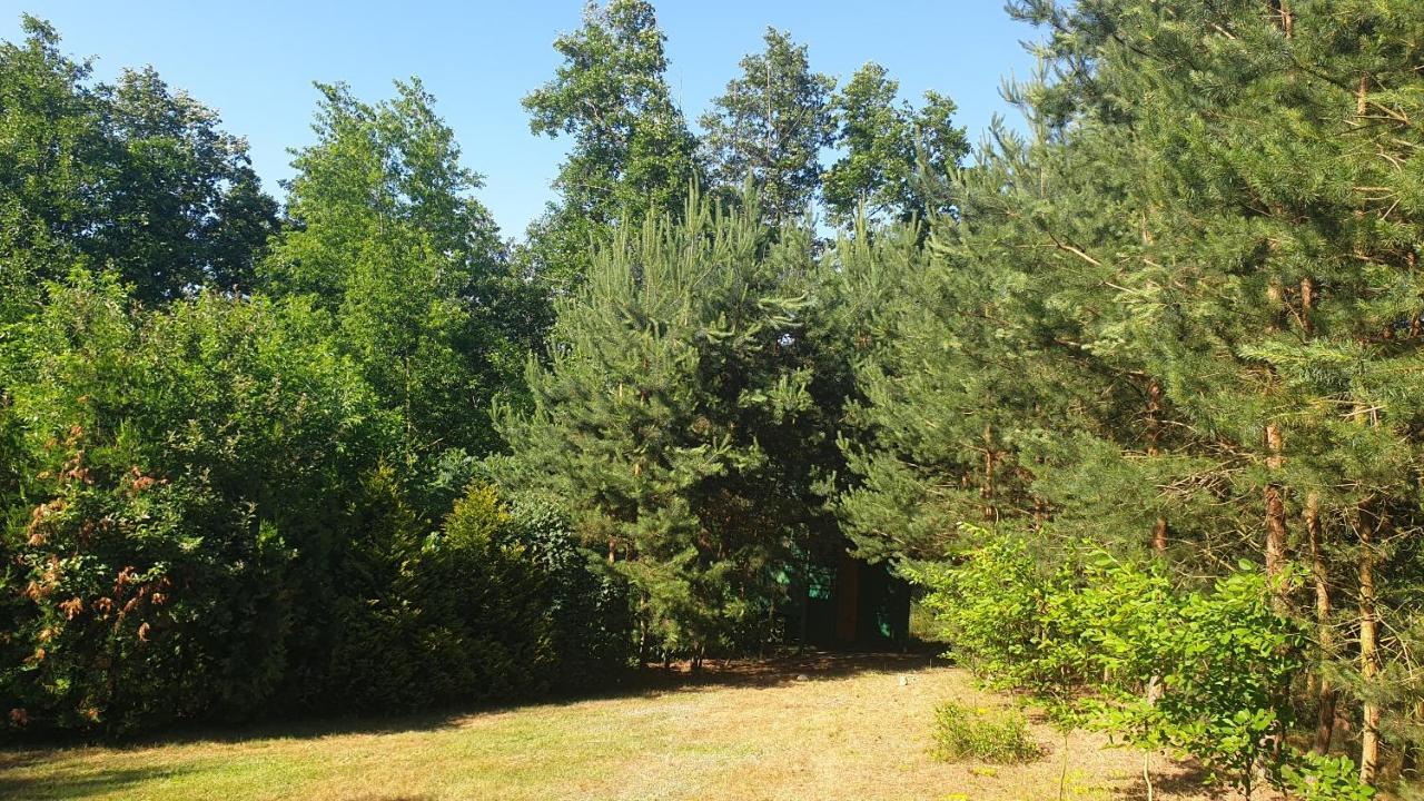 Domki Nad Jeziorem, Las, Do 10 Osob Jezioro Wilczynskie Budzislawskie - Domek Letniskowy Osobno Ogrodzony, Ogrzewany Mile Widziane Pieski, Zwierzeta- Wielkopolska, 62-550 Zygmuntowo Gm Wilczyn ภายนอก รูปภาพ