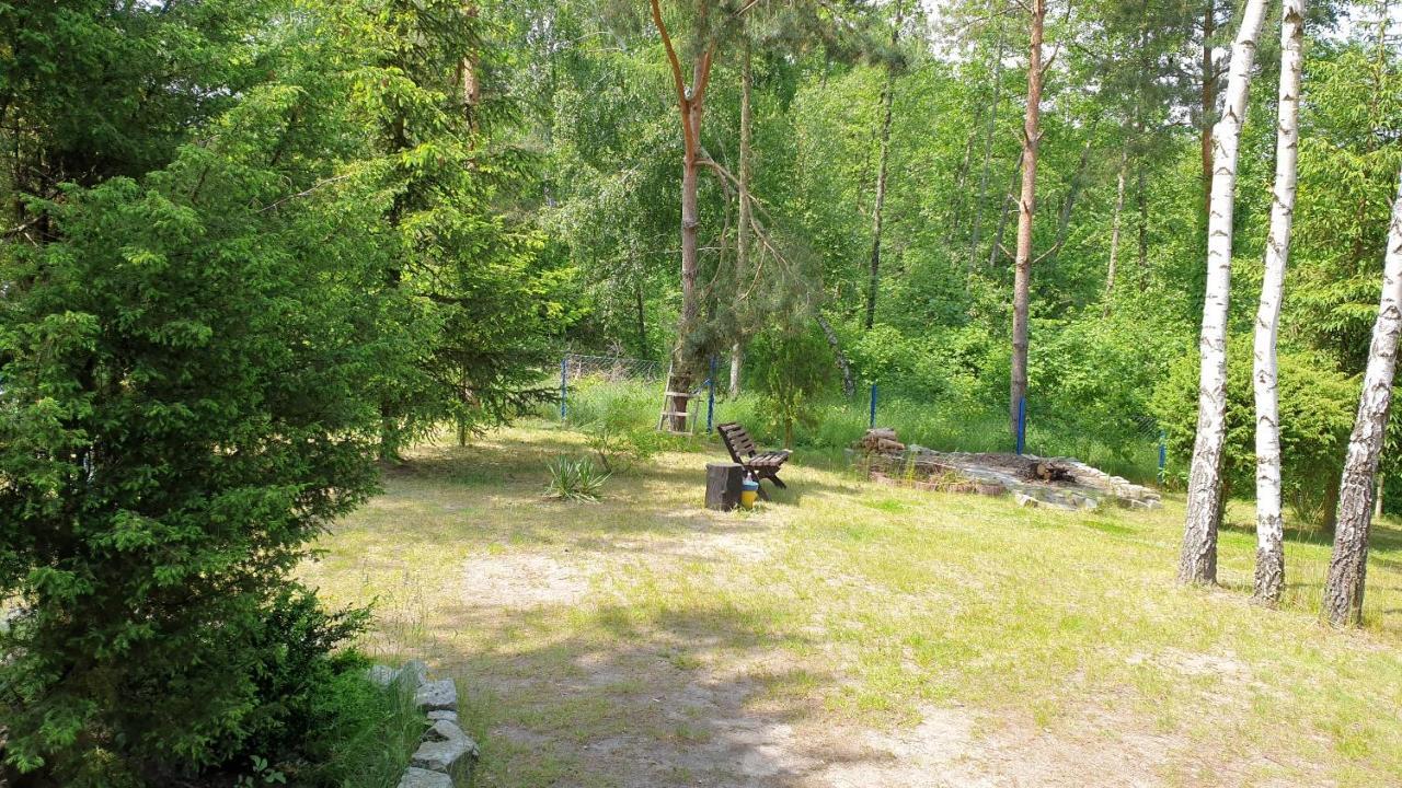 Domki Nad Jeziorem, Las, Do 10 Osob Jezioro Wilczynskie Budzislawskie - Domek Letniskowy Osobno Ogrodzony, Ogrzewany Mile Widziane Pieski, Zwierzeta- Wielkopolska, 62-550 Zygmuntowo Gm Wilczyn ภายนอก รูปภาพ
