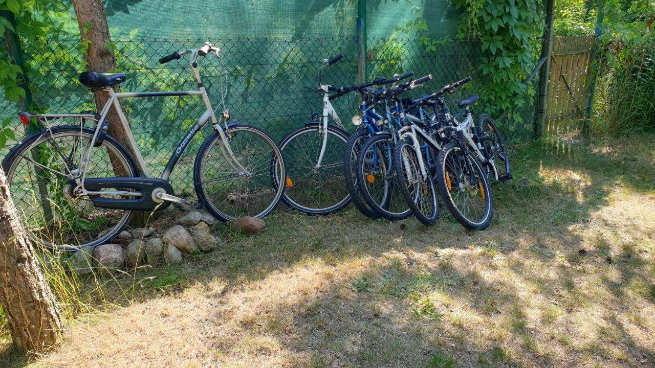 Domki Nad Jeziorem, Las, Do 10 Osob Jezioro Wilczynskie Budzislawskie - Domek Letniskowy Osobno Ogrodzony, Ogrzewany Mile Widziane Pieski, Zwierzeta- Wielkopolska, 62-550 Zygmuntowo Gm Wilczyn ภายนอก รูปภาพ