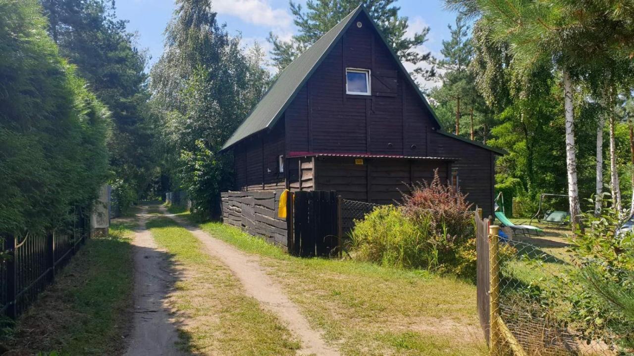 Domki Nad Jeziorem, Las, Do 10 Osob Jezioro Wilczynskie Budzislawskie - Domek Letniskowy Osobno Ogrodzony, Ogrzewany Mile Widziane Pieski, Zwierzeta- Wielkopolska, 62-550 Zygmuntowo Gm Wilczyn ภายนอก รูปภาพ
